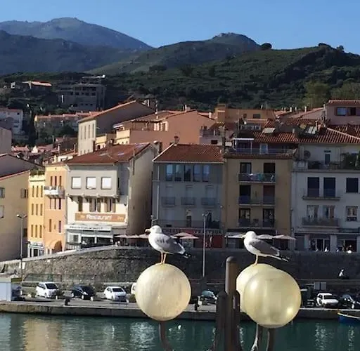 Loft Du Soleil, 1ere Ligne, Proche Des Criques Et De Collioure * Port Vendres